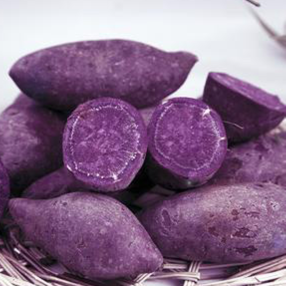 purple potato seeds, purple potato minitubers