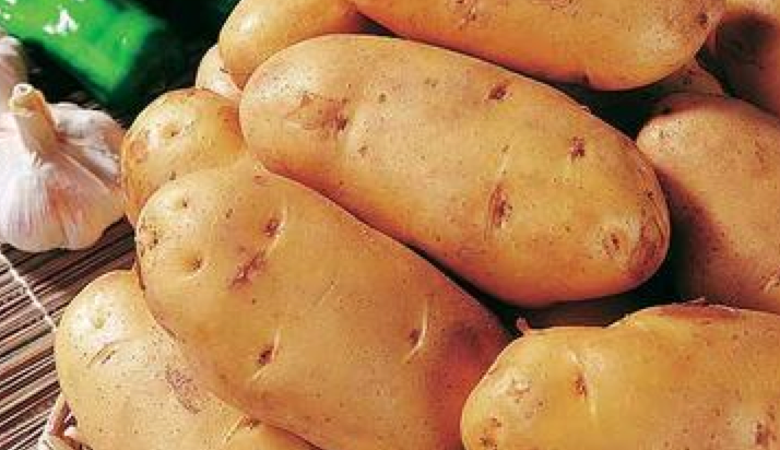 potato, potato minitubers, potato seeds